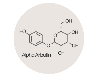 Alpha Arbutin: นวัตกรรมเพื่อผิวกระจ่างใสอย่างปลอดภัย