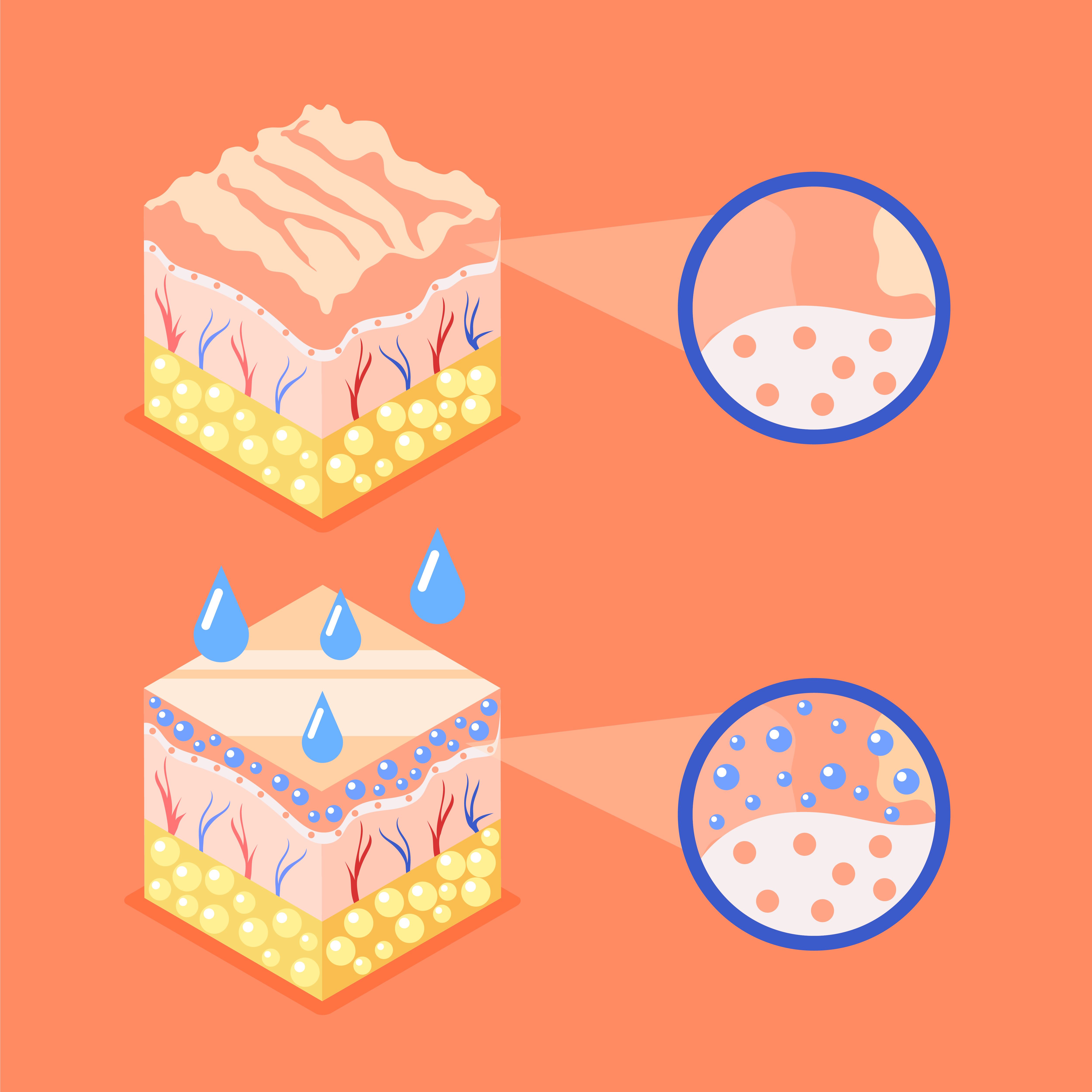 ผิวสุขภาพดี เริ่มจาก Skin Barrier ที่ดี